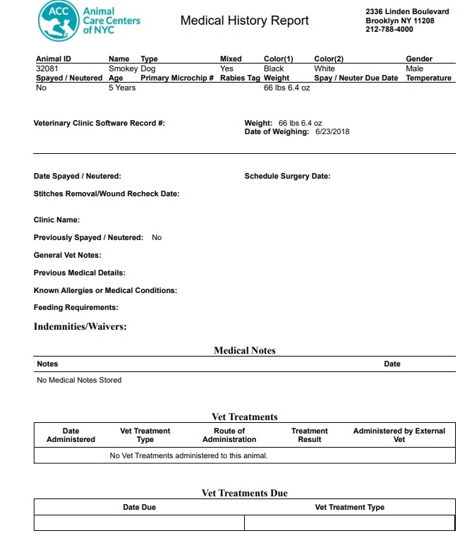 Smokey Dog ID 32081 NY ACC Medical 1.jpg